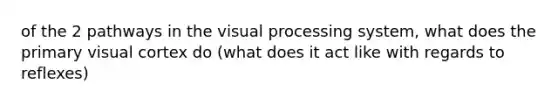 of the 2 pathways in the visual processing system, what does the primary visual cortex do (what does it act like with regards to reflexes)