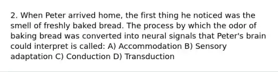 2. When Peter arrived home, the first thing he noticed was the smell of freshly baked bread. The process by which the odor of baking bread was converted into neural signals that Peter's brain could interpret is called: A) Accommodation B) Sensory adaptation C) Conduction D) Transduction