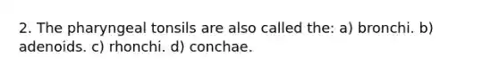 2. The pharyngeal tonsils are also called the: a) bronchi. b) adenoids. c) rhonchi. d) conchae.