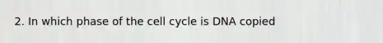 2. In which phase of the cell cycle is DNA copied