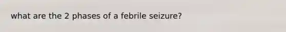 what are the 2 phases of a febrile seizure?