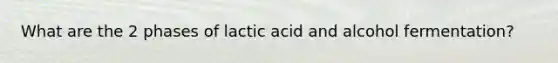 What are the 2 phases of lactic acid and alcohol fermentation?