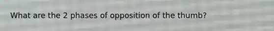 What are the 2 phases of opposition of the thumb?