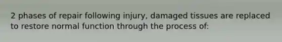 2 phases of repair following injury, damaged tissues are replaced to restore normal function through the process of: