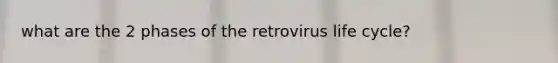 what are the 2 phases of the retrovirus life cycle?