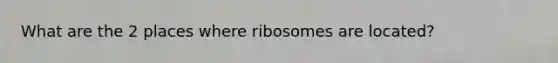 What are the 2 places where ribosomes are located?