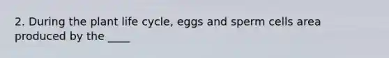 2. During the plant life cycle, eggs and sperm cells area produced by the ____