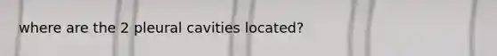where are the 2 pleural cavities located?