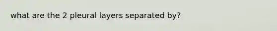 what are the 2 pleural layers separated by?