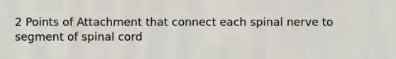 2 Points of Attachment that connect each spinal nerve to segment of spinal cord
