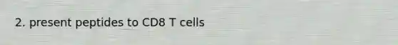 2. present peptides to CD8 T cells