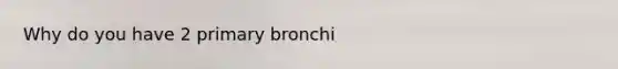 Why do you have 2 primary bronchi