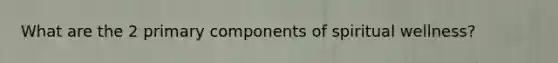What are the 2 primary components of spiritual wellness?
