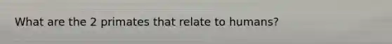 What are the 2 primates that relate to humans?