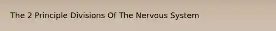 The 2 Principle Divisions Of The Nervous System