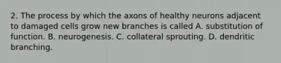 2. The process by which the axons of healthy neurons adjacent to damaged cells grow new branches is called A. substitution of function. B. neurogenesis. C. collateral sprouting. D. dendritic branching.