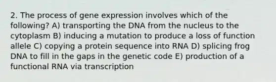 2. The process of gene expression involves which of the following? A) transporting the DNA from the nucleus to the cytoplasm B) inducing a mutation to produce a loss of function allele C) copying a protein sequence into RNA D) splicing frog DNA to fill in the gaps in the genetic code E) production of a functional RNA via transcription