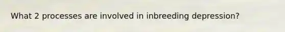 What 2 processes are involved in inbreeding depression?