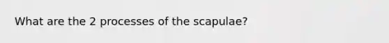 What are the 2 processes of the scapulae?