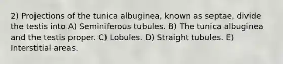 2) Projections of the tunica albuginea, known as septae, divide the testis into A) Seminiferous tubules. B) The tunica albuginea and the testis proper. C) Lobules. D) Straight tubules. E) Interstitial areas.