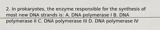 2. In prokaryotes, the enzyme responsible for the synthesis of most new DNA strands is: A. DNA polymerase I B. DNA polymerase II C. DNA polymerase III D. DNA polymerase IV