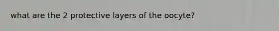 what are the 2 protective layers of the oocyte?