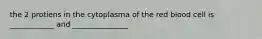 the 2 protiens in the cytoplasma of the red blood cell is ____________ and _______________