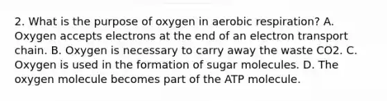 2. What is the purpose of oxygen in aerobic respiration? A. Oxygen accepts electrons at the end of an electron transport chain. B. Oxygen is necessary to carry away the waste CO2. C. Oxygen is used in the formation of sugar molecules. D. The oxygen molecule becomes part of the ATP molecule.