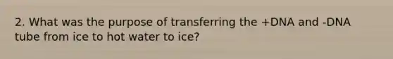 2. What was the purpose of transferring the +DNA and -DNA tube from ice to hot water to ice?