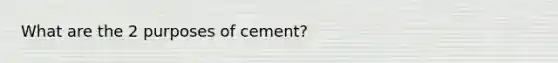 What are the 2 purposes of cement?