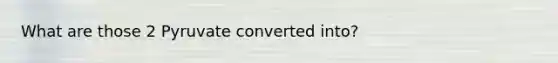 What are those 2 Pyruvate converted into?