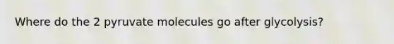 Where do the 2 pyruvate molecules go after glycolysis?