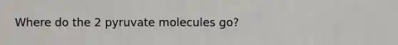 Where do the 2 pyruvate molecules go?