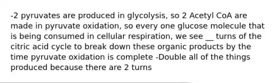 -2 pyruvates are produced in glycolysis, so 2 Acetyl CoA are made in pyruvate oxidation, so every one glucose molecule that is being consumed in cellular respiration, we see __ turns of the citric acid cycle to break down these organic products by the time pyruvate oxidation is complete -Double all of the things produced because there are 2 turns