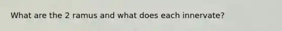 What are the 2 ramus and what does each innervate?