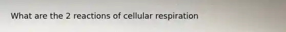 What are the 2 reactions of cellular respiration