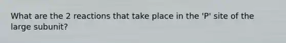 What are the 2 reactions that take place in the 'P' site of the large subunit?