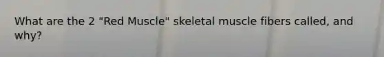 What are the 2 "Red Muscle" skeletal muscle fibers called, and why?