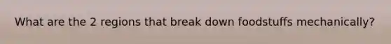 What are the 2 regions that break down foodstuffs mechanically?