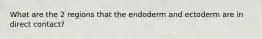 What are the 2 regions that the endoderm and ectoderm are in direct contact?