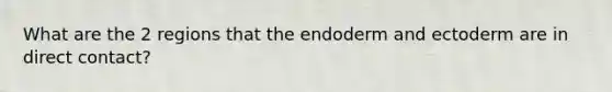 What are the 2 regions that the endoderm and ectoderm are in direct contact?