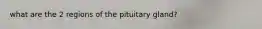 what are the 2 regions of the pituitary gland?