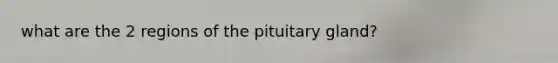 what are the 2 regions of the pituitary gland?