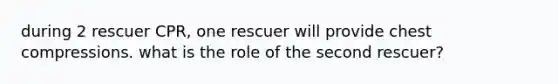 during 2 rescuer CPR, one rescuer will provide chest compressions. what is the role of the second rescuer?