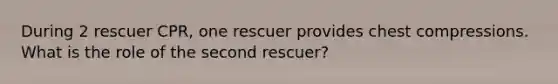 During 2 rescuer CPR, one rescuer provides chest compressions. What is the role of the second rescuer?