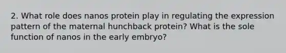 2. What role does nanos protein play in regulating the expression pattern of the maternal hunchback protein? What is the sole function of nanos in the early embryo?