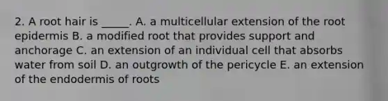 2. A root hair is _____. A. a multicellular extension of the root epidermis B. a modified root that provides support and anchorage C. an extension of an individual cell that absorbs water from soil D. an outgrowth of the pericycle E. an extension of the endodermis of roots