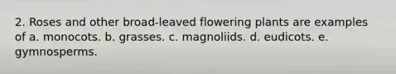 2. Roses and other broad-leaved flowering plants are examples of a. monocots. b. grasses. c. magnoliids. d. eudicots. e. gymnosperms.