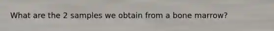 What are the 2 samples we obtain from a bone marrow?