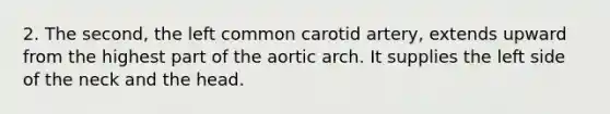 2. The second, the left common carotid artery, extends upward from the highest part of the aortic arch. It supplies the left side of the neck and the head.